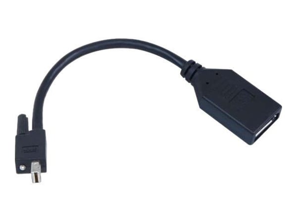 Matrox TripleHead2go upgrade - DisplayPort-adapter - Mini DisplayPort (hann) til DisplayPort (hunn) - for Matrox M9138, M9148, M9188; Graphics eXpa...