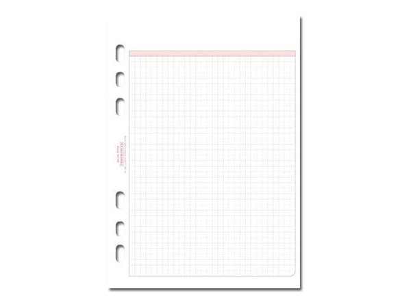 Chronoplan - Ark - A5 (148 x 210 mm) - 50 ark - rutet - 6 hull - for P/N: 50101, 50102, 50103, 50163, 50167, 50172, 50173, 50830, 50831