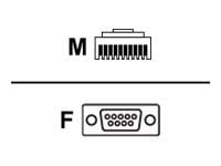 Zebra - Serielt kabel - DB-9 (hun) til RJ-45 (10-pins) (han) - 12 V - 4,6 m