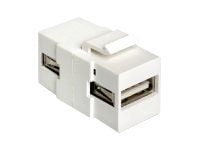 Delock - Modulär insats (koppling) - USB Type A