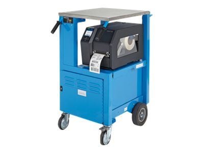 Printronix T8204 - Etikettskriver - direktetermisk / termisk overføring - Rull (10,4 cm) - 203 dpi - inntil 305 mm/sek - USB, LAN, seriell