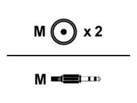 PremiumCord - Lydkabel - RCA x 2 hann til mini-phone stereo 3.5 mm hann - 5 m