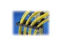 Rittal DK Cable Routing Bar - Rack-kabelføringssett - 4U - 19"