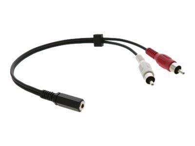 Kramer C-A35F/2RAM Series C-A35F/2RAM-1 - Lydkabel - kombinert lyd - RCA x 2 hann til mini-phone stereo 3.5 mm hunn - 30 cm