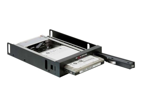 Delock - Bevegelig lagerrack - 2.5"