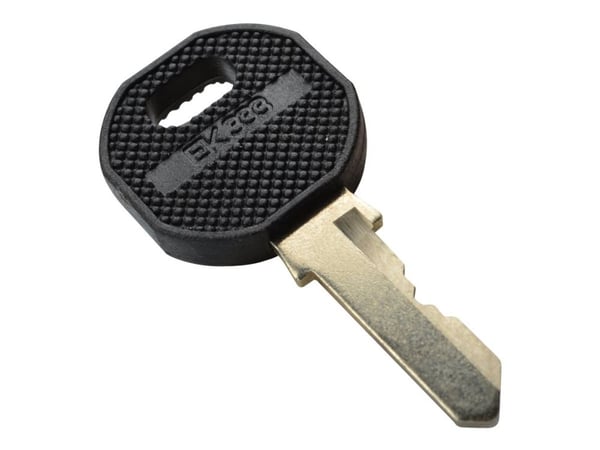 DIGITUS Professional DN-19 KEY-9473 - Racksikkerhetslåsnøkkel