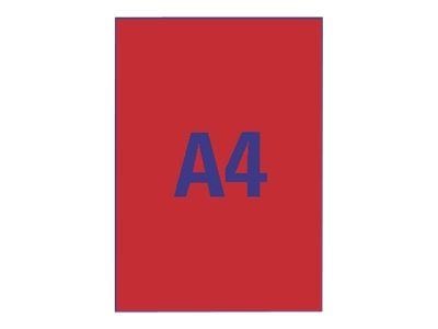 Avery Zweckform L6005 - Permanet adhesiv - selvlysende rød - A4 (210 x 297 mm) 25 etikett(er) 1 merkelapper
