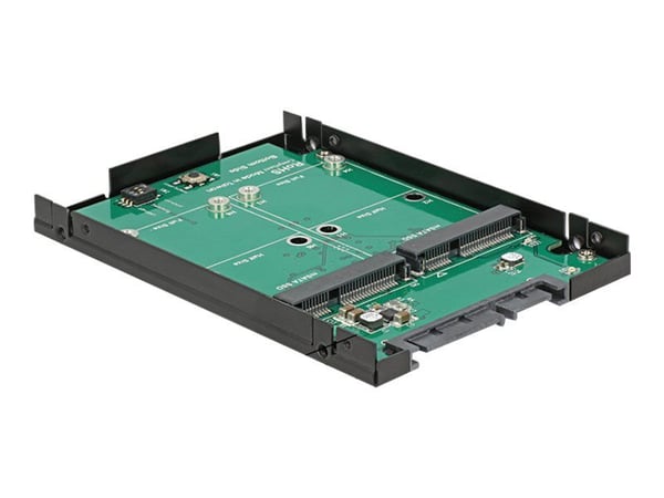 Delock - Styreenhed til lagring (RAID) - mSATA - mSATA - RAID 0, 1, JBOD - SATA 6Gb/s
