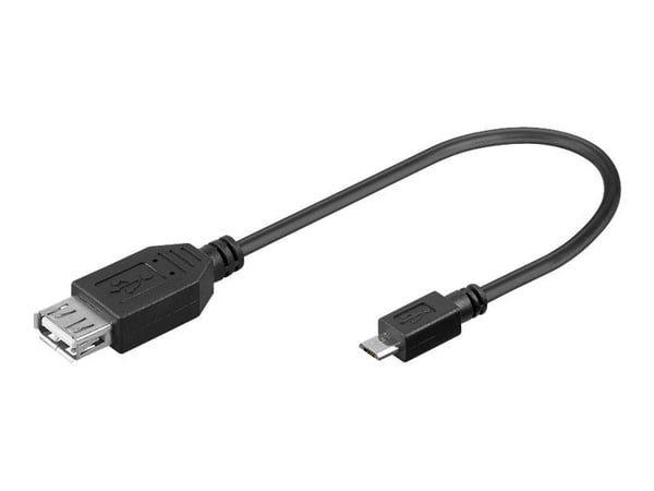 Wentronic Goobay USB 2.0 Hi-Speed Adapter, 0.2 m - USB 2.0-Buchse (Typ A) > USB 2.0 Micro-Stecker (Typ B) (95194)
