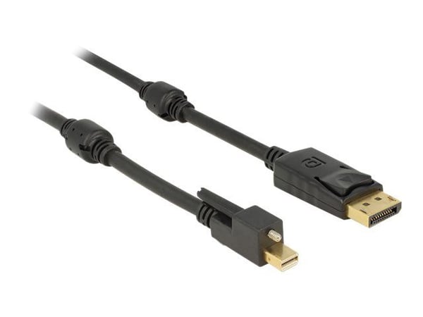 Delock - DisplayPort kaapeli - DisplayPort (han) til Mini DisplayPort (han) - 1 m - tommelskruer - sortti