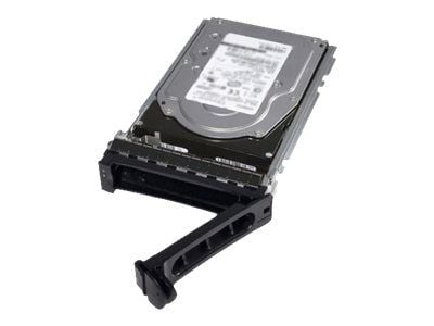 Dell - Kiintolevy - 2 TB - hot-swap - 3,5" - SAS 6Gb/s - 7200 rpm - PowerEdge C6220, R220, R320, T110, T320, T420, T630, VRTX M520, VRTX M620 -malliin