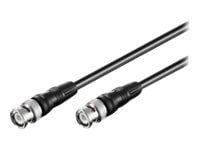 MicroConnect - Videokabel - BNC (han) till BNC (han) - 2 m