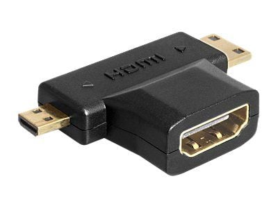 Delock - HDMI-splitter - HDMI hunn til 19 pin mini HDMI Type C, 19 pin micro HDMI Type D hann - svart