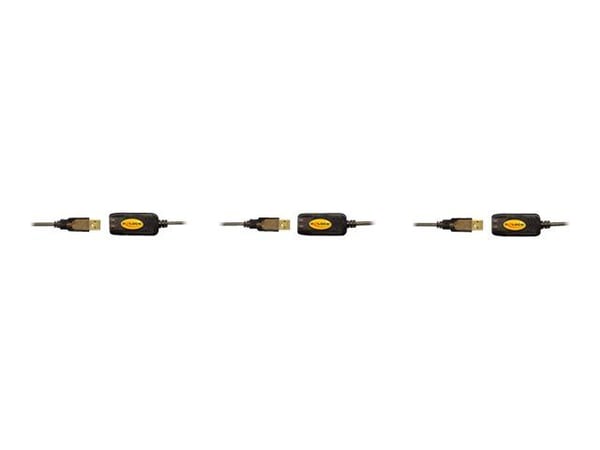 Delock - USB forlængerkabel - USB (han) til USB (hun) - 10 m
