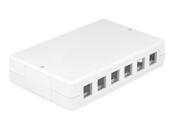 Delock - Overflatemonteringsboks for nettverk - hvit - 12 porter