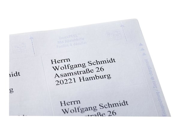 Avery Zweckform 3669 - Adhesiv - hvit - 50.8 x 70 mm 3000 etikett(er) (200 ark x 15) merkelapper