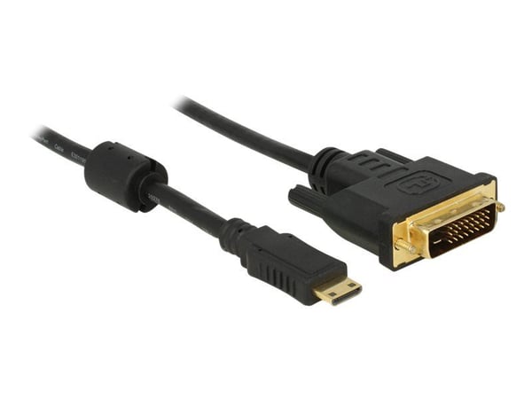 Delock - Adapterkabel - dobbeltlenke - 19 pin mini HDMI Type C hann til DVI-D hann - 1 m - svart