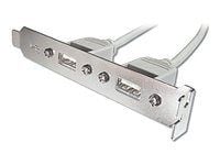 ASSMANN - USB-panel - 5 pin ingång (hona) till USB (hona) - 25 cm - beige