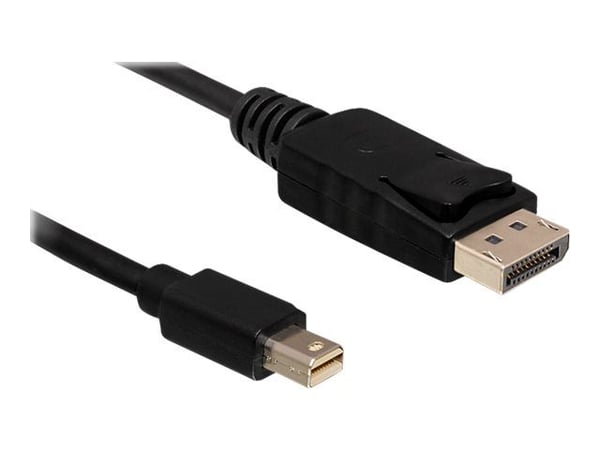 Delock - DisplayPort-kabel - DisplayPort (hann) til Mini DisplayPort (hann) - 5 m - svart