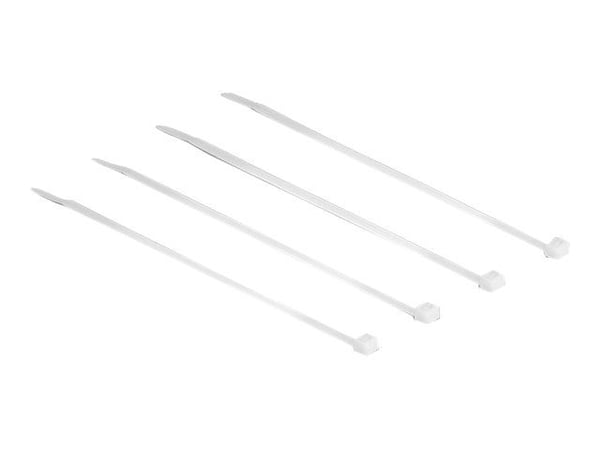 DeLOCK 18605, Nailon, 100 mm, 2,5 mm, 100 kpl