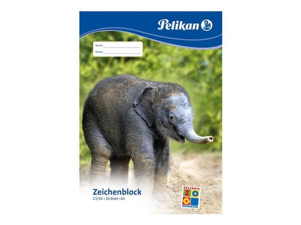 Pelikan 224840, Taidepaperialusta, 100 g/m², 20 arkkia