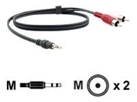 Kramer A35M Series C-A35M/2RAM-10 - Ljudkabel - RCA hane till mini-phone stereo 3.5 mm hane - 3 m