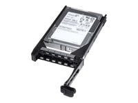Dell Fully Assembled - Harddisk - 300 GB - intern - 2.5" - SAS 6Gb/s - 10000 rpm - for PowerEdge M520 (2.5"), R220 (2.5")