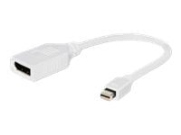 Cablexpert - DisplayPort-adapter - DisplayPort (hunn) til Mini DisplayPort (hann) - 10 cm - hvit