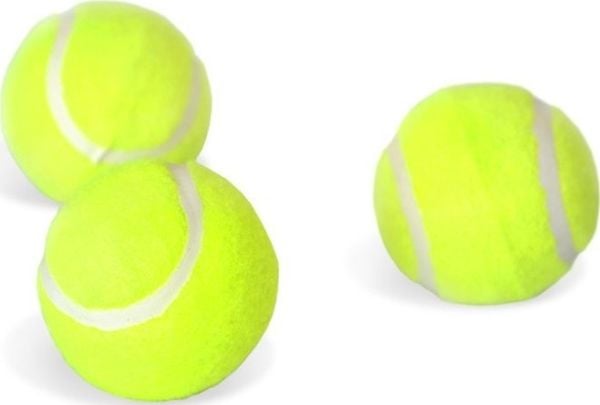 Master tennisballer MASTER - 3 stk. Master tennisballer MASTER - 3 stk.