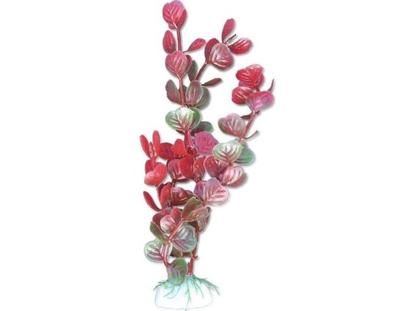 Happet Roślina blemme 20cm 2b53 Happet