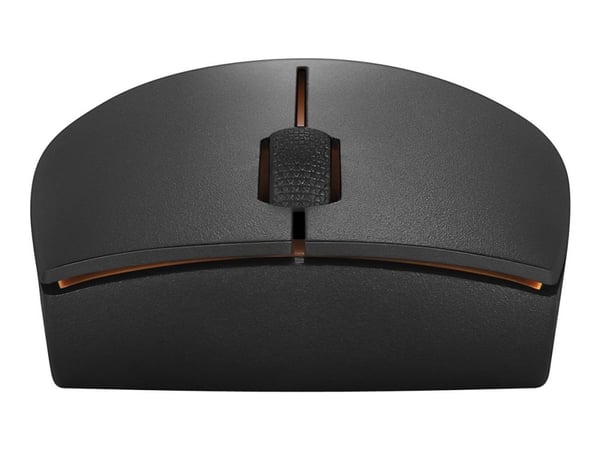 Lenovo 300 Wireless Compact - Hiiri - akulla - optinen - 3 painiketta - langaton - 2,4 GHz - langaton vastaanotin (USB) - huurteensininen - läpipai...
