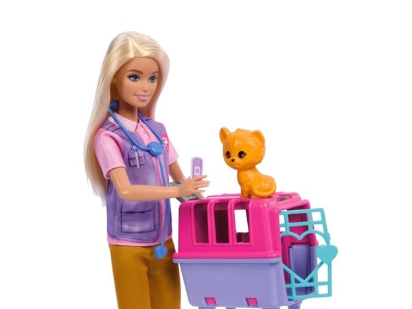 Barbie Animal Rescuer HRG50
