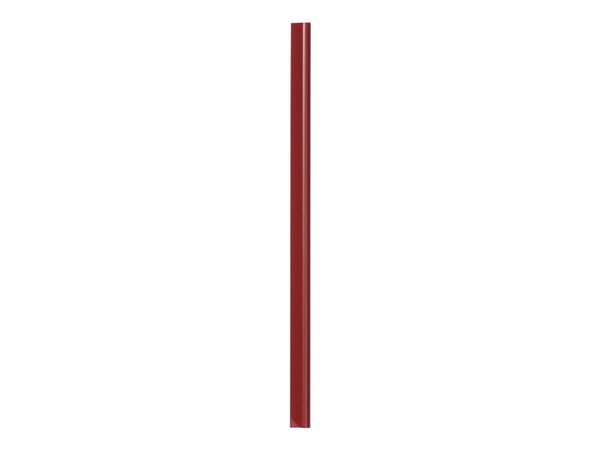 DURABLE - Diabildspärm - för A4 (210 x 297 mm) - kapacitet: 60 ark - röd (paket om 100) - för P/N: 2919-03, 2919-06, 2919-19, 2939-19, 2943-19
