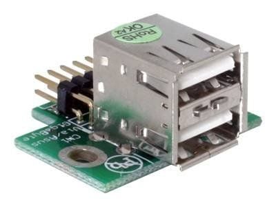 DeLOCK - USB-sovitin - 10-nastainen USB-liitäntärasia (uros) USB:hen (naaras)