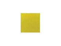 Duni - Servett - Storlek 24 x 24 cm - engångsvara - kiwi (paket om 250)
