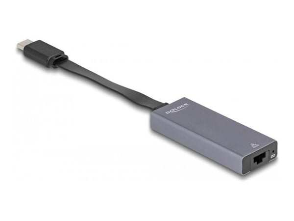 Delock - Nettverksadapter - USB-C 3.2 Gen 1 - 2.5GBase-T x 1 - antrasitt
