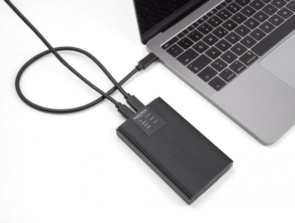 Delock - Förvaringslåda - M.2 - M.2 NVMe Card / PCIe (NVMe) - RAID JBOD, RAID 0, 1 - USB 3.2 (Gen 2x2) - svart