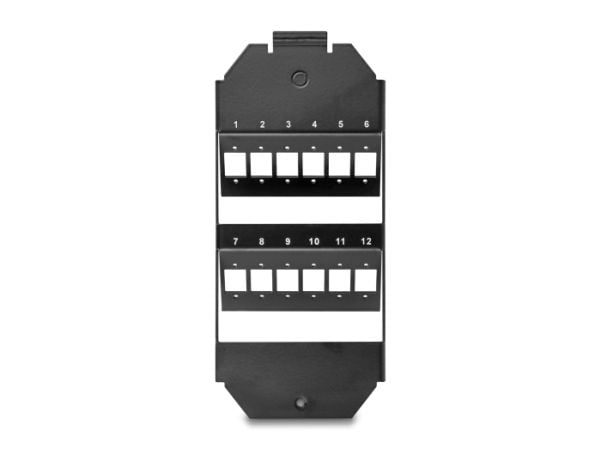 Delock - Fiber optisk patchpanel (tom) - för SC simplex / LC duplex-kopplingar - golvbox monterbar - svart - 12 portar