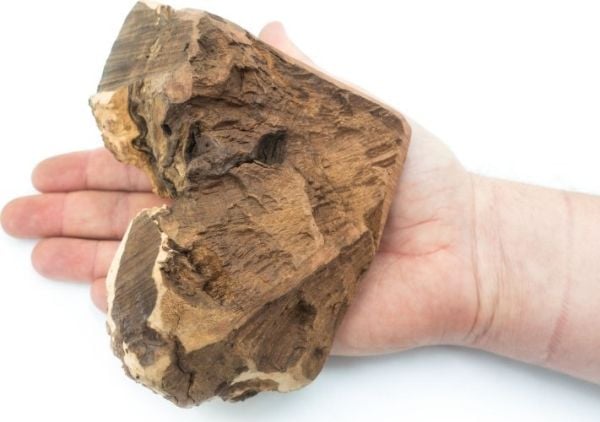 4DOGS Heath root koirille - pureskelu L 4DOGS Heath root koirille - pureskelu L