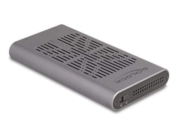 Delock - Drevkabinett - 20 Gbps, clone function - M.2 - M.2 NVMe Card - USB-C - grå