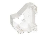 Delock Keystone Mounting for DIN rail - DIN-skinnemonteringssett - hvit