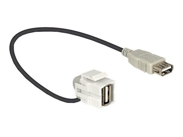Delock - Modulinnlegg - USB Type A