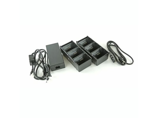 Zebra 3-Slot Battery Charger Connected via Y Cable - Batterilader - utgangskontakter: 3 - USA (en pakke 2) - for QLn 220, 220 Healthcare, 320, 420;...