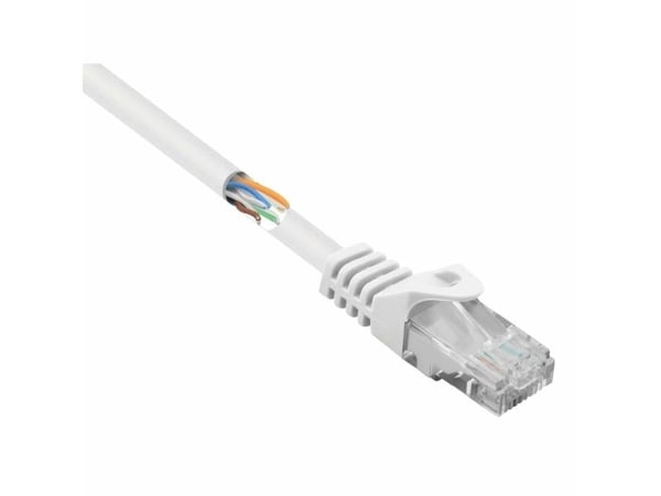 Renkforce RF-5043830, 1 m, Cat5e, U/UTP (UTP), RJ-45, RJ-45, Hvit