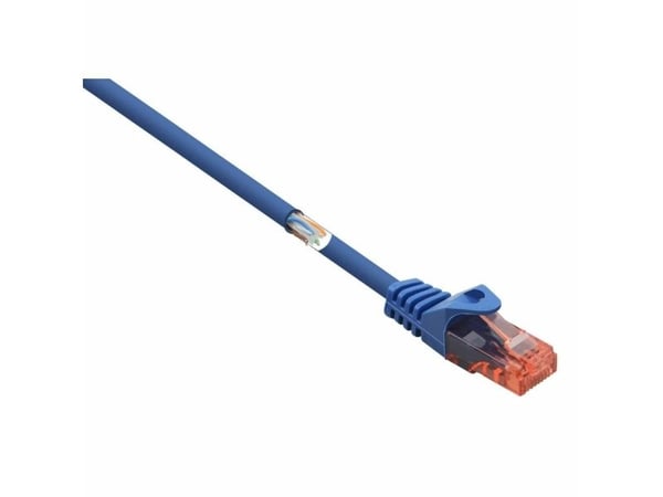 Renkforce RF-5043876 RJ45 Verkkokaapeli, patch-kaapeli CAT 6 U/UTP 1,00 m Sininen lukitussuojalla, halogeeniton 1 kpl 1 kpl