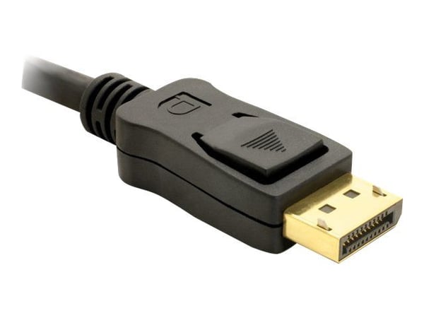 Delock - DisplayPort-kabel - DisplayPort (hann) til DisplayPort (hann) - 1 m - svart