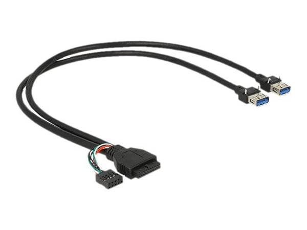 Delock - USB-kabel - USB-type A (hunn) til 19-pins USB 3.0-plugg, 9-pins USB 2.0-plugg (hunn) - USB 3.0 - 45 cm - svart