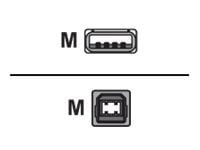 Lenovo - USB-kaapeli - USB Type B (han) til USB (han) - FRU, CRU - Tier 2 - for ThinkCentre M92 (lille); M92p (lille)