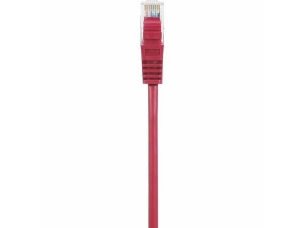 Renkforce RF-5044012, 3 m, Cat5e, U/UTP (UTP), RJ-45, RJ-45, Rød