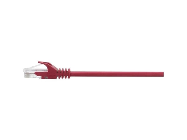 Renkforce RF-5044012, 3 m, Cat5e, U/UTP (UTP), RJ-45, RJ-45, Rød